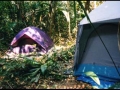 campsite