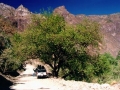 lunch_stop